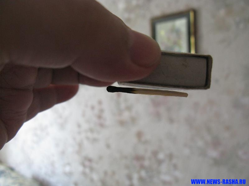 Биомагнетизм